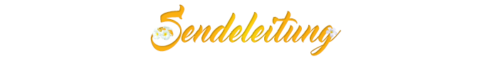 Sendeleitung